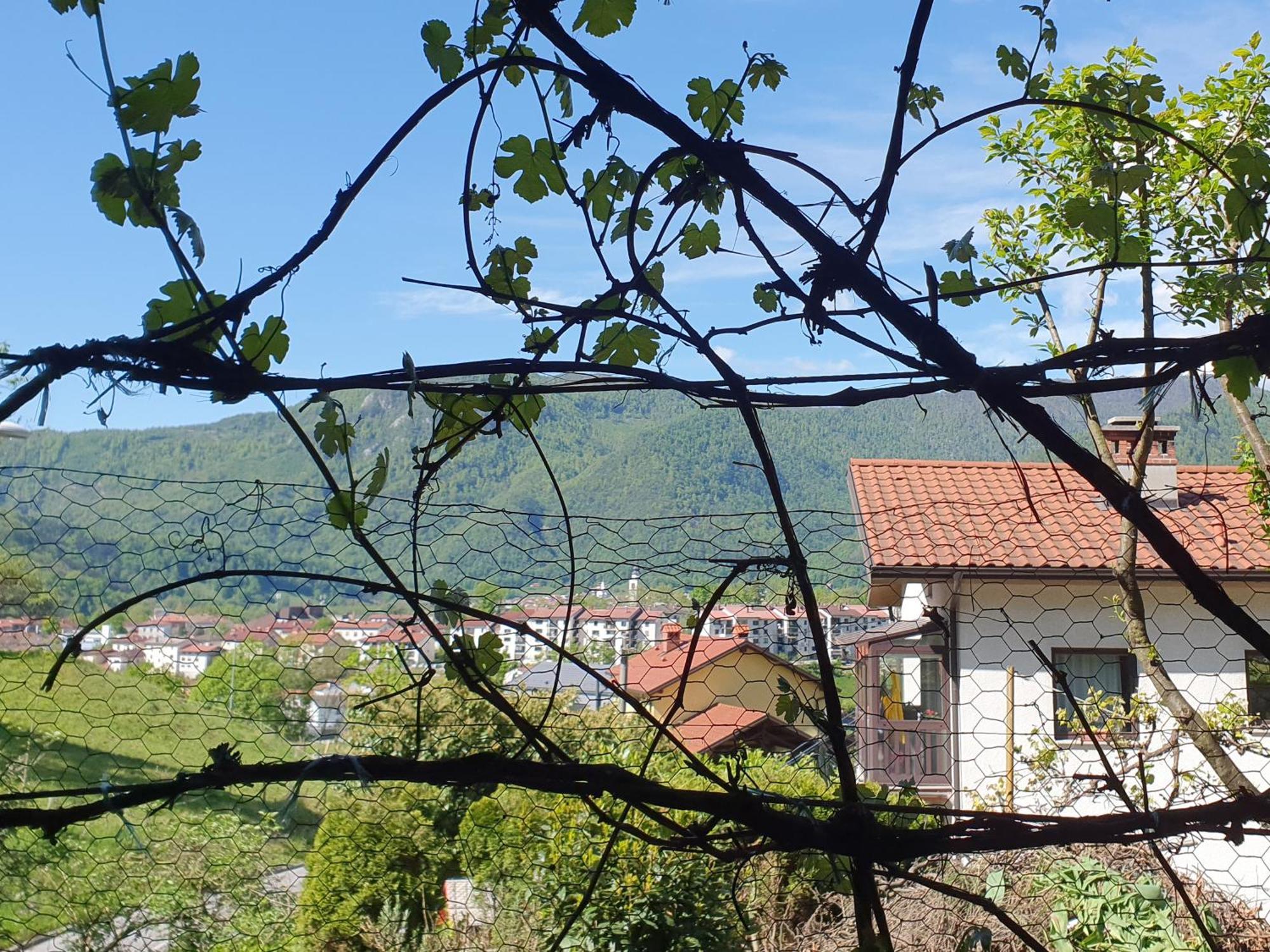 Apartment With Terrace Nona Pavla Tolmin Exterior photo